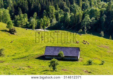 National Park Kalkalpen in Austria