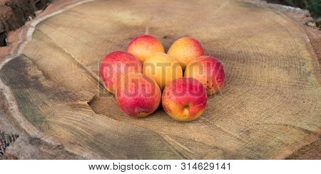 Apricots On Wooden Background Assembled In The Form Of Flower