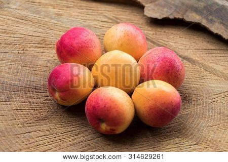 Ripe Apricots On Stump Composed In The Form Of Flower, Vega Food
