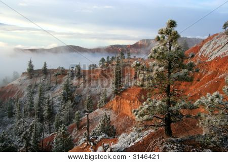 Bryce Canyon de manhã cedo