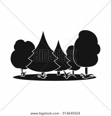 Vector Design Of Forest And Landscape Sign. Collection Of Forest And Green Vector Icon For Stock.