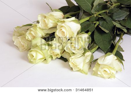 eleven roses