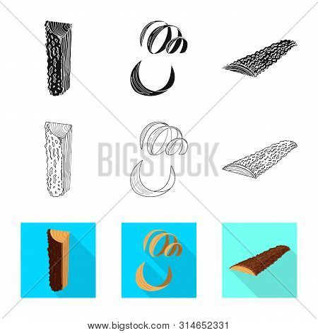 Vector Design Of Tree And Raw Icon. Set Of Tree And Construction Vector Icon For Stock.