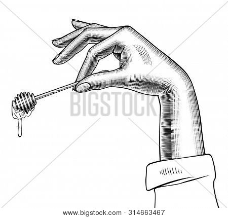 Female hand holding a honey dipper in the fingers. Vintage engraving stylized drawing
