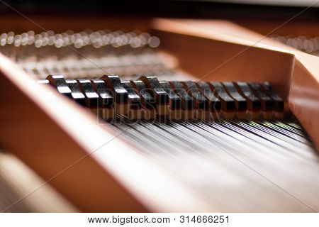 Detail of the inside of a coda piano