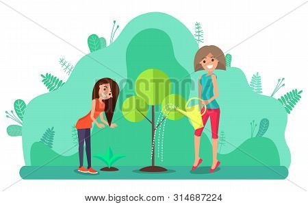 Women In Yard Watering Tree. Female Gardener Cultivating Plants. Leaf Seeding Sproating From Soil. H