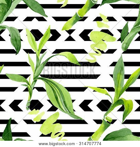 Bamboo Green Leaves. Watercolor Background Illustration Set. Seamless Background Pattern.