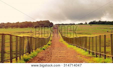 This Path Is Located At Kaas Platue, Maharashtra, India. This Platue Has Some Endangered Species Of 