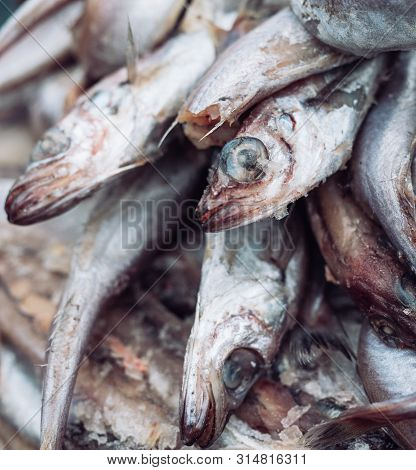 Fresh Fish In The Store On The Background.