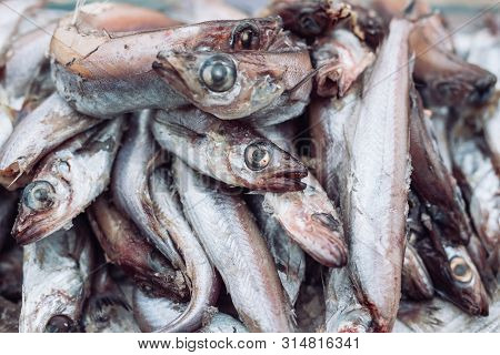 Fresh Fish In The Store On The Background.
