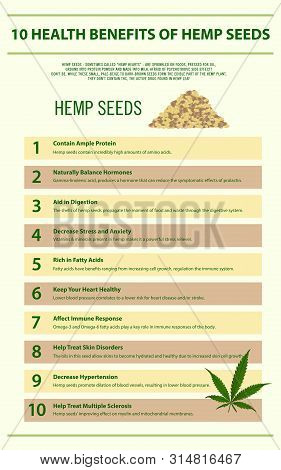 10 Health Benefits Of Hemp Seeds Vertical Infographic, Healthcare And Medical Illustration About Can