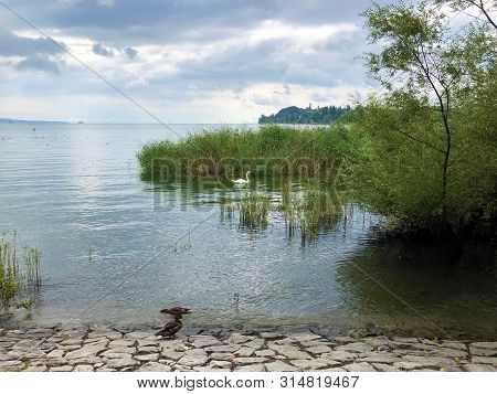 Landscape Of The Lake Constance By The Mainau Island (flower Island Mainau On The Lake Constance) - 