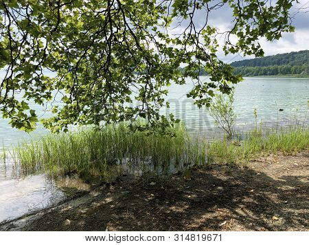 Landscape Of The Lake Constance By The Mainau Island (flower Island Mainau On The Lake Constance) - 