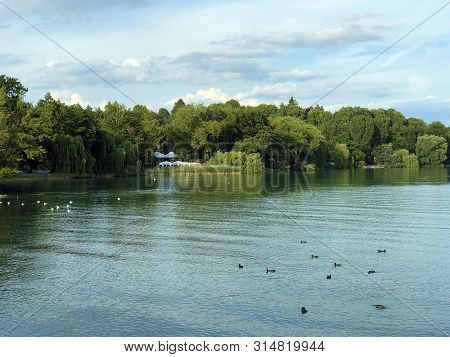 Landscape Of The Lake Constance By The Mainau Island (flower Island Mainau On The Lake Constance) - 