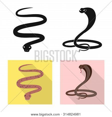 Vector Design Of Mammal And Danger Sign. Set Of Mammal And Medicine Vector Icon For Stock.