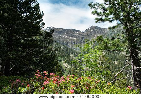 Beautiful Landscape Mountains In Summer At Parc Natural Del Comapedrosa, Andorra