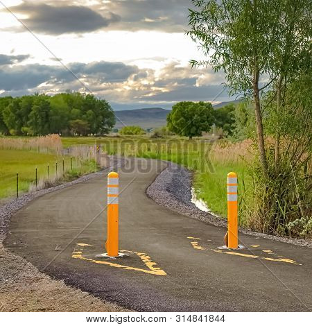 Square Frame Yellow Traffic Delineator Posts On A Road With View Of Trees And Mountain