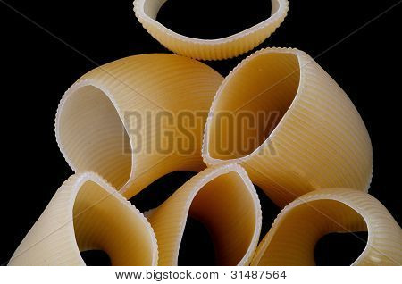 Cannelloni hautnah
