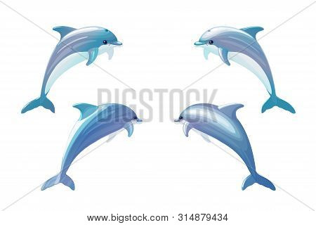 Vector Cartoon Animal Clip Art Bottlenose Dolphins