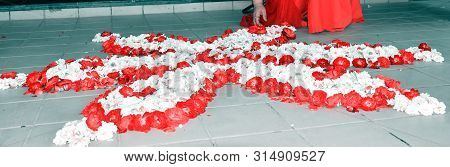 Pink And White Flower's On The Floor