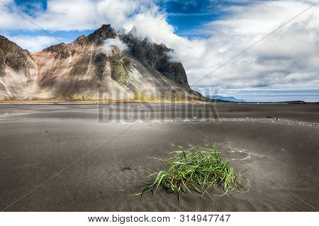 Dramatic Sunny Day And Gorgeous Rippled Black Sand Beach And Green Grass On Stokksnes Cape In Icelan