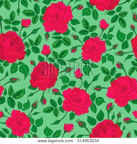 Vector Illustration. Pink Rose Bushes Forest With Leaves And Buds. Seamless Repeat Pattern. Light Gr