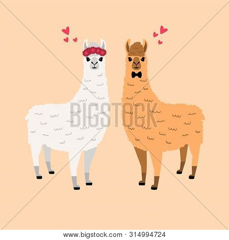 Two Llamas In Love, A Boy And A Girl. Vector Illustration. Colorful, Cute