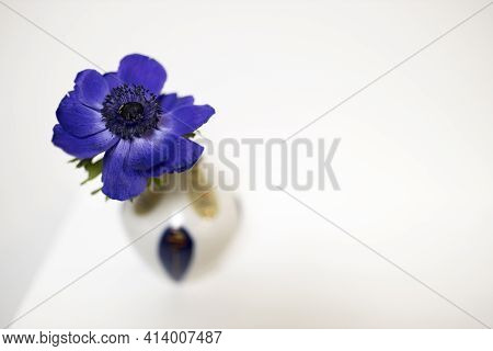 One Blue Anemone In A Multi-colored Vase In The Style Of The Seventies On The Table With Books As An