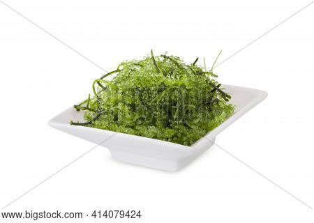 Umi-budou, Seaweed , Healthy Sea Food. Oval Sea Grapes Seaweed. Healthy Food, Close Up Green Caviar 