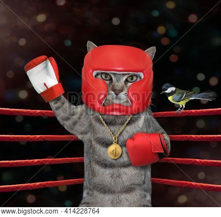 A Gray Cat Athlete In Red Boxing Uniform With A Gold Medal For First Place Stands In The Corner Of A