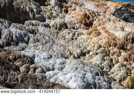 Travertine Terraces, Mammoth Hot Springs, Yellowstone With Sunlight