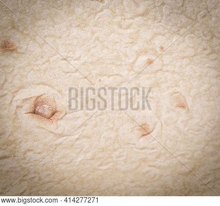 Tortilla Wrap Bread.close Up Texture. Close Up