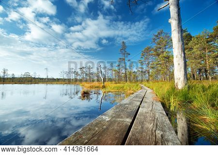 Viru Bogs At Lahemaa National Park In Autumn. Wooden Path At Beautiful Wild Place In Estonia