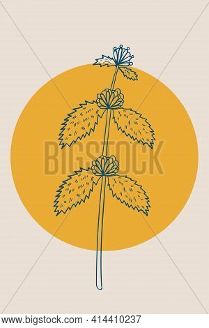 White Horehound, Abstract, Poster, Minimal Herb Ww