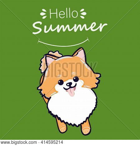 Pomeranian Puppy, Isolated. Small German Spitz. A Small Dog. Cute Fluffy Pet. Pet In Cartoon Style. 