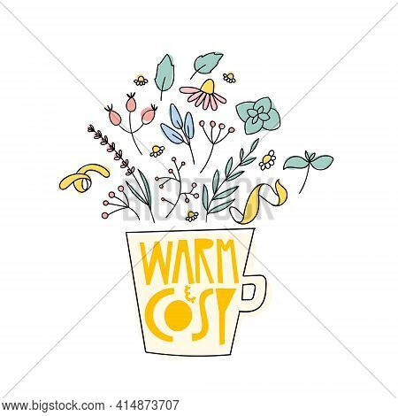 Warm And Cozy Herbal Tea Doodle Banner. Cup With Lettering And Herbs For Natural Organic Drink.