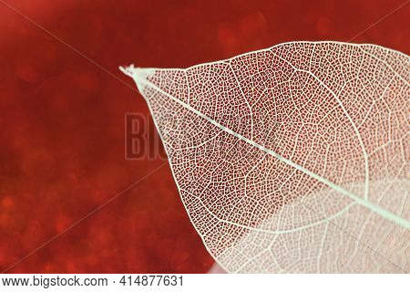 Skeleton Leaves.skeletonized Yellow Leaf On Red Glitter Background With Shining Bokeh.wallpaper Phon