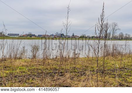 Wild Plants On The Sparse Green Grass On The Bank Of The Maas River On The Dutch Side, A Belgian Vil