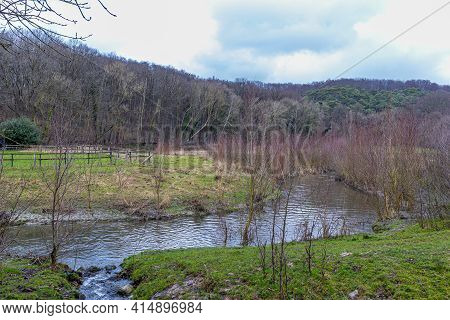 River In The Dutch Countryside Among Wild Plants, Green Grass And A Hill With Bare Trees In The Back