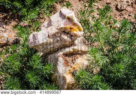 Minerals Stones Between Plants In Nature Of Morocco