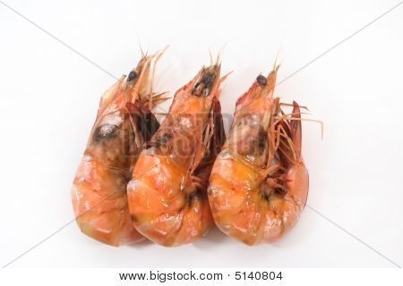 Cooked_shrimp
