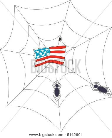 在 Web 中的美国