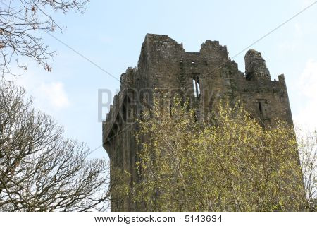 Castello, vista dal bosco