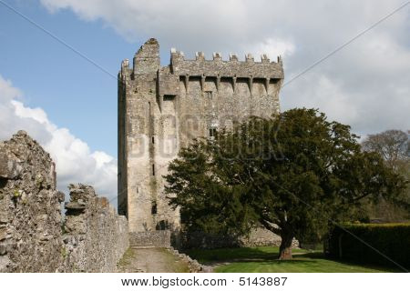 Potere del castello di Blarney