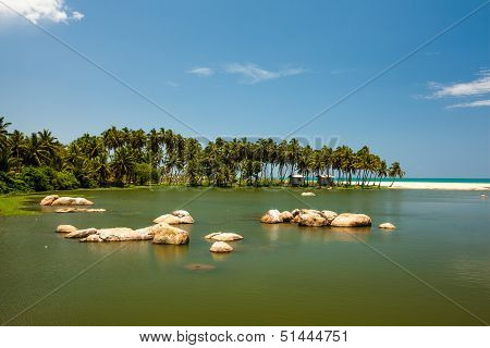 Landsape Of The Lake At The Seashore