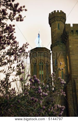 Smithsonian Castle With Magnolias  Night Washington Dc