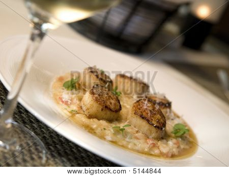 Seared Jakobsmuscheln auf risotto