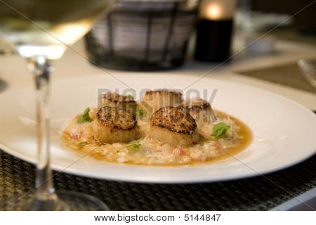Seared Jakobsmuscheln auf einem Bett von risotto