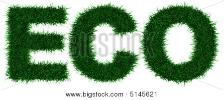 Eco