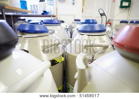 Frozen Storage At Sperm Bank